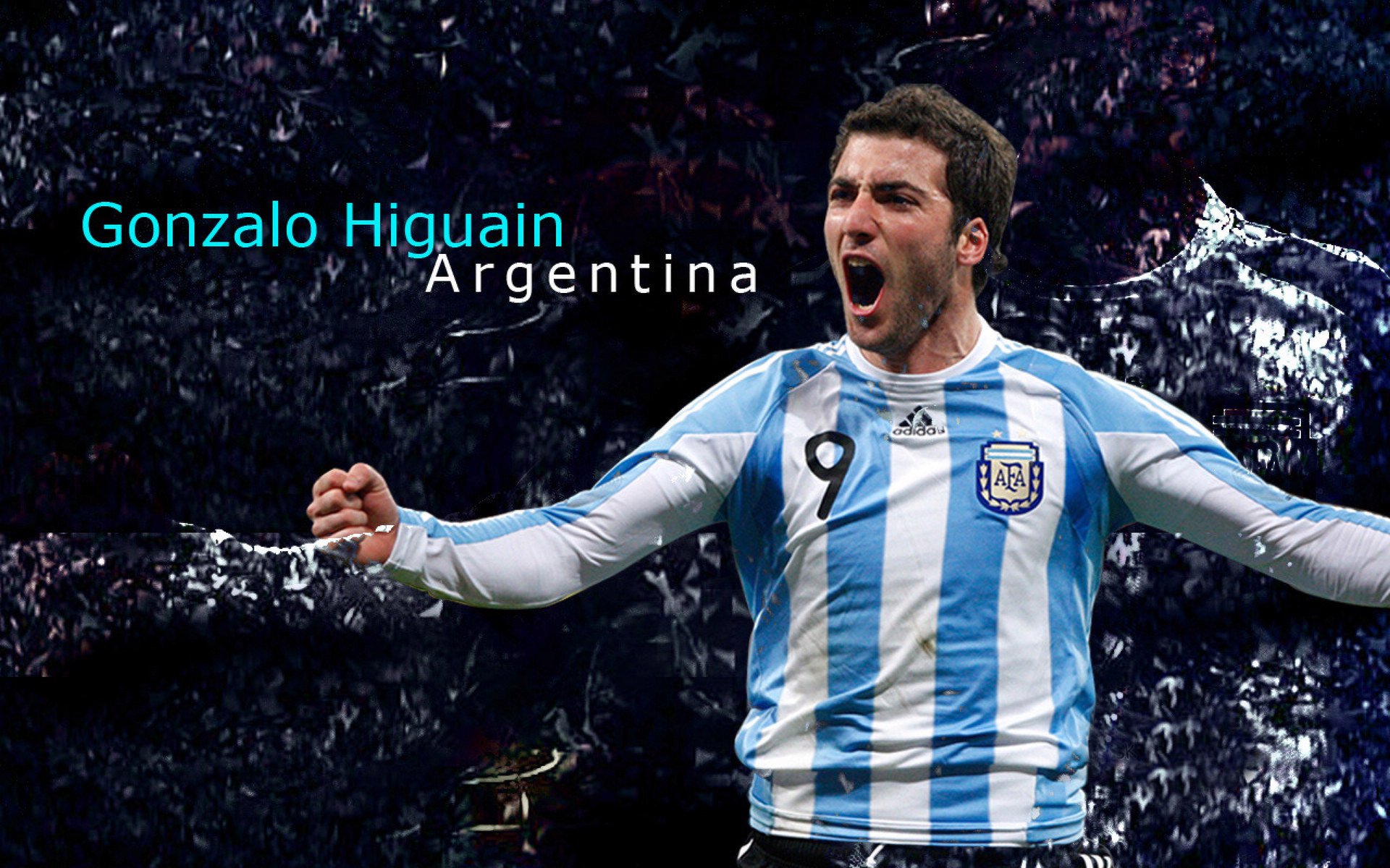 南非青训系统逐步完善，全球橄榄球选手新摇篮，南非橄榄球队员