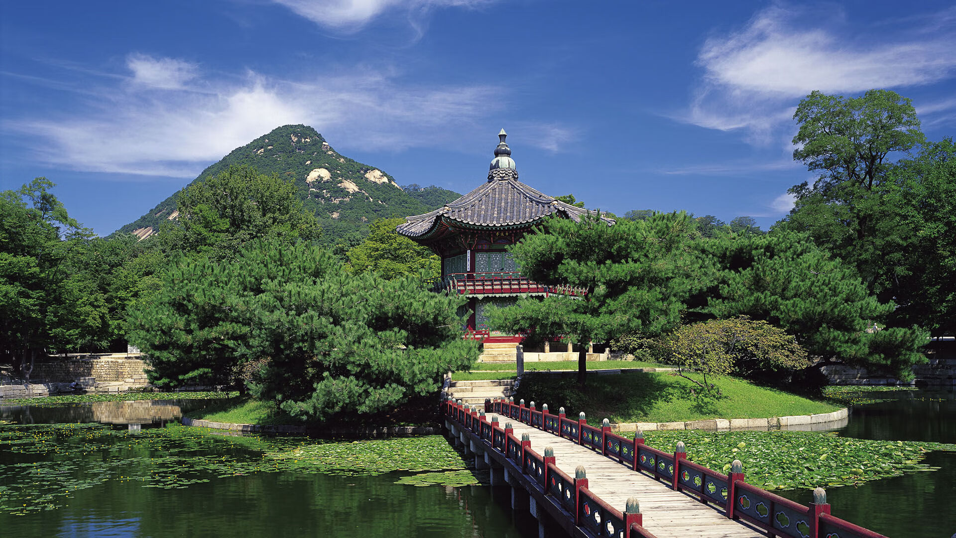 九游APP官网-全球智勇棋战：体育精神在脑力竞赛中体现